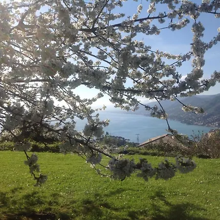 Villa Il Rustico Vip